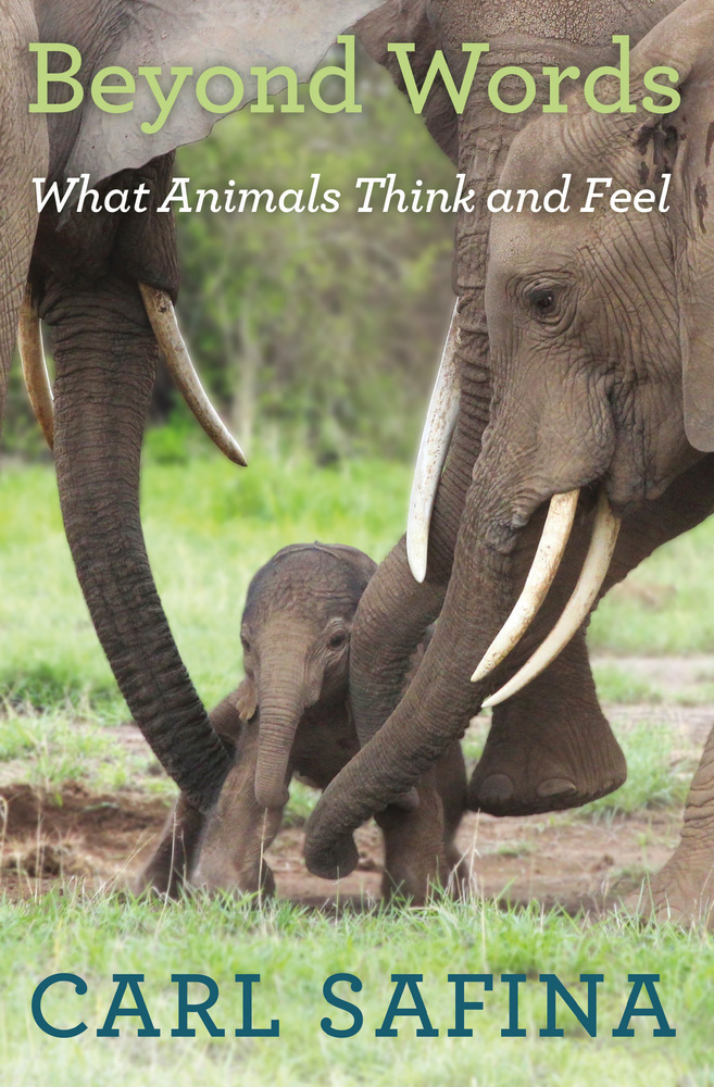 Beyond Words: What Animals Think and Feel  (2015)