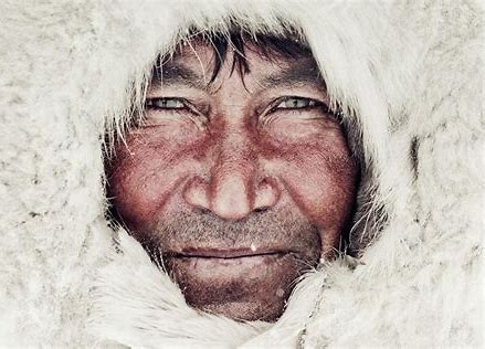 Nenet raindeer herder, Siberia