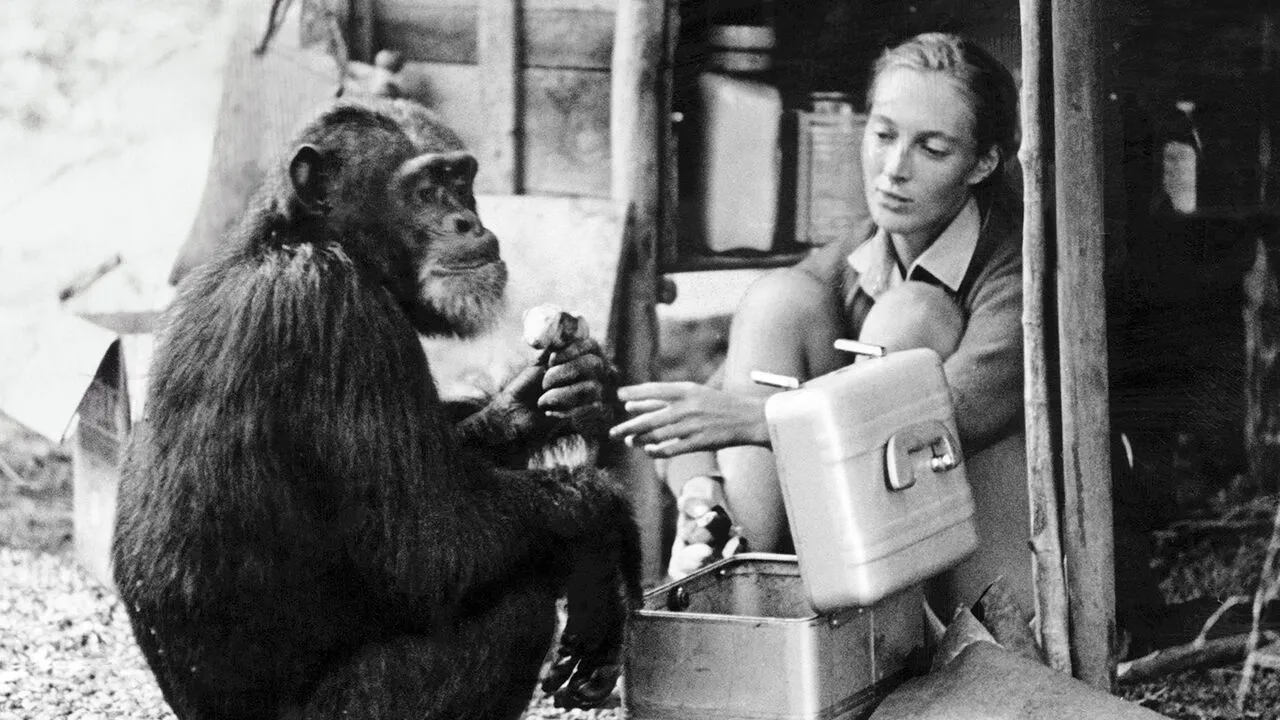 “The Woman Who Changed Humankind”